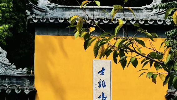 Nanjing Jiming Temple + Ming Xiaoling Mausoleum + Nanjing Confucius Temple + Sun Yat-sen Mausoleum + Xuanwu Lake 1-day Tour - Bilingual Service in Chinese and English