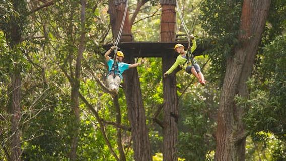 The Big Island (Hawaii island)Experiences