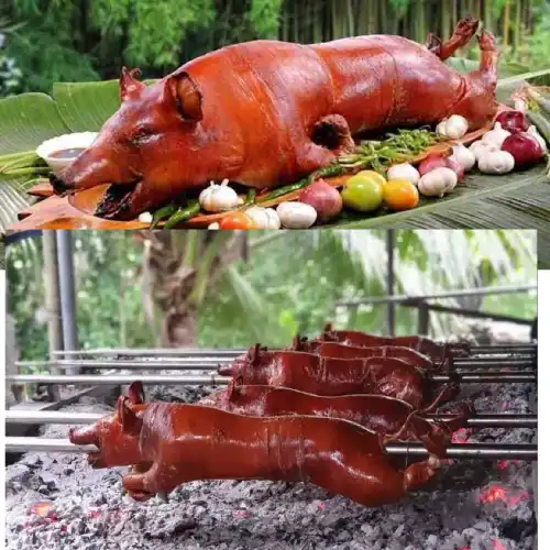 セブ シティツアー [DIYツアー] | Trip.com