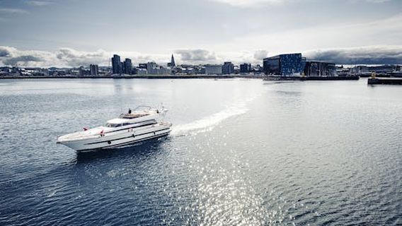 ReykjavikExperiences
