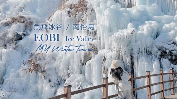 Winter Exclusive | Departing from Seoul: Eobi Ice Valley and Nami Island