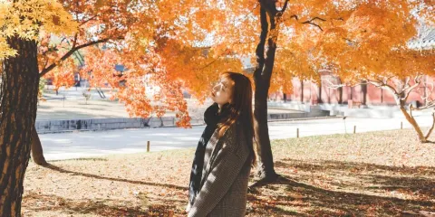 美國科羅拉多Trip Moments【攝影師跟拍航拍約拍抓拍街拍寫真婚紗微電影/多語言翻譯】
