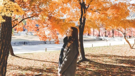 コロラド旅行写真【ドライバーとガイド + 旅行写真 + 結婚式の写真、航空写真、マイクロフィルム + メイクアップと衣料品&アクセサリー+ 旅程のカスタマイズ + 人数無制限】