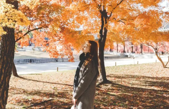 美國科羅拉多Trip Moments【攝影師跟拍航拍約拍抓拍街拍寫真婚紗微電影/多語言翻譯】