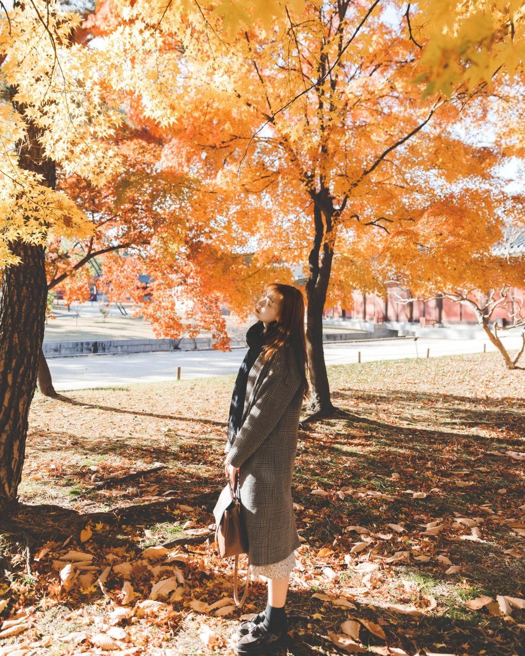 Coronado Trip Moments[Driver-guide plus travel photography + wedding aerial photography microfilm + makeup & costumes + itinerary customization + unlimited group size]