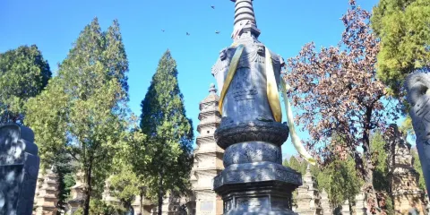 河南全境英文、法文翻譯/導遊/地陪 - Citywalk|景點遊玩|英文/俄文/法文/小語種|歡迎查詢