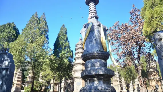 Tradução/guia/acompanhante local em inglês e francês em toda a província de Henan - Citywalk | Passeios turísticos | Idiomas: inglês/russo/francês/outros idiomas menos comuns | Entre em contato para mais informações
