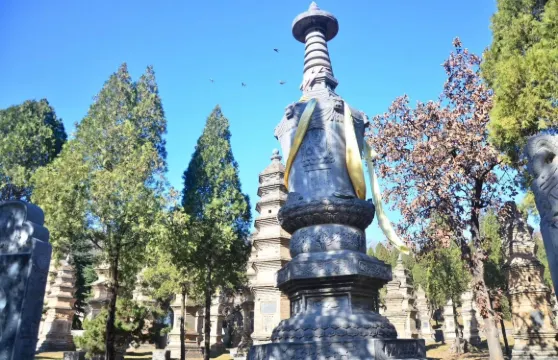 河南全境英文、法文翻譯/導遊/地陪 - Citywalk|景點遊玩|英文/俄文/法文/小語種|歡迎查詢