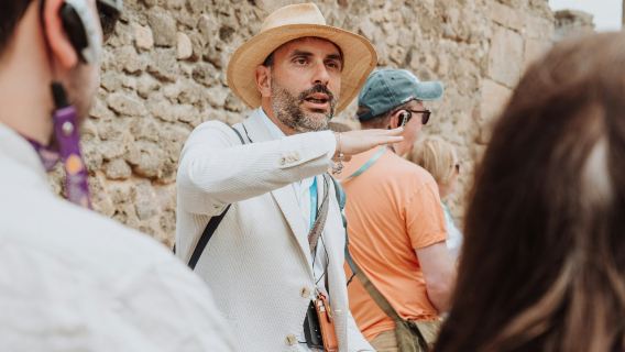 Pompeii & Herculaneum: Fast Track Ticket + Guided Tour