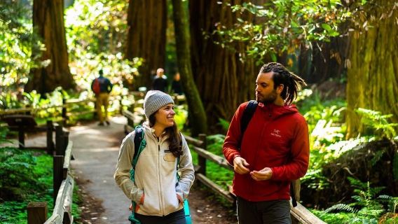 From San Francisco: Full Day Wine Country Tour and Muir Woods