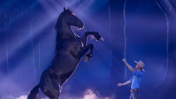 Australian Outback Spectacular: Dinner and Show
