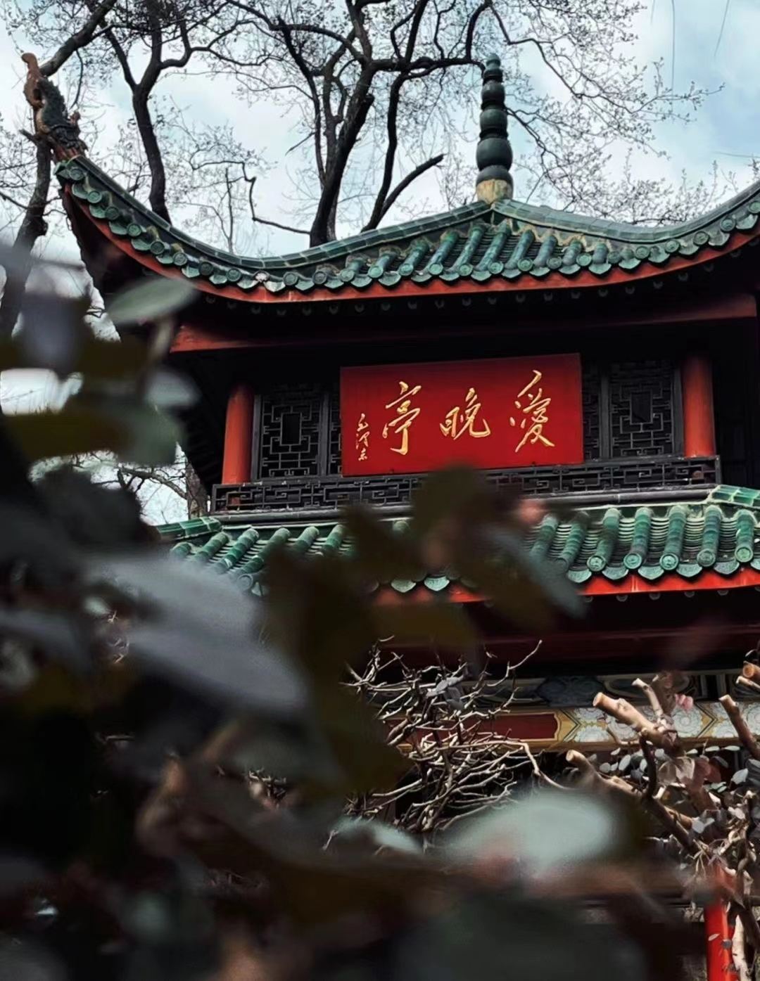 Changsha, Hunan|guía|traducir|Guía local|Traducción comercial/traducción para ferias/atracciones turísticas/guía en vivo en lugares turísticos