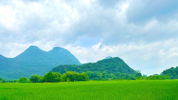 RongshuiTours