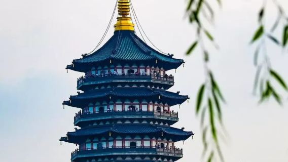 雷峰塔門票+導遊精講+西湖手划船（近觀三潭映月，拼船，40分鐘）