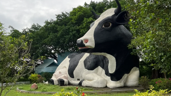 Shenzhen Guangming District City Walk: Professional guide/translator/local escort/business translator/general translator/English/Russian/French/minority languages/private car 1-day tour/Welcome to inquire