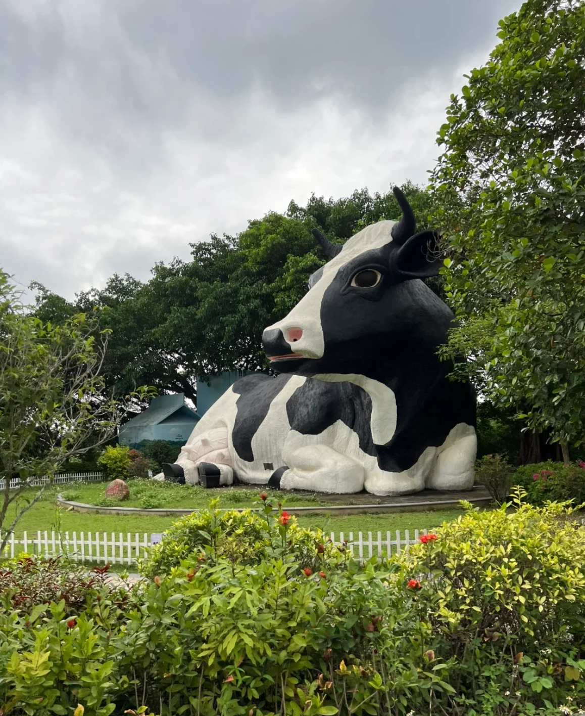 Shenzhen Guangming District city walk: guida professionale/traduttore/accompagnatore locale/traduzione commerciale/traduzione generale/inglese/russo/francese/lingue minoritarie/noleggio con conducente esclusivo per tour di un giorno/benvenuti a contattarci per informazioni