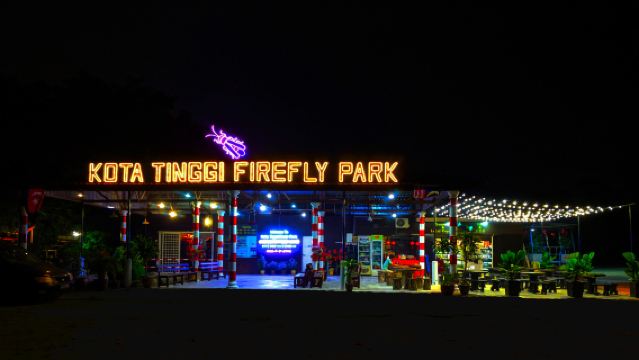 ทัวร์ล่องเรือชมแม่น้ำหิ่งห้อยในโกตาติงกิ ยะโฮร์