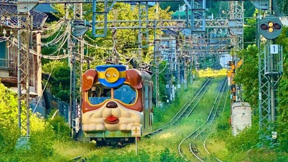 Xe đạp trên không ở Núi Ikoma, Osaka + tour 1 ngày khám phá thú vị tại Nara, Mt. Wakakusa, Công viên Nara