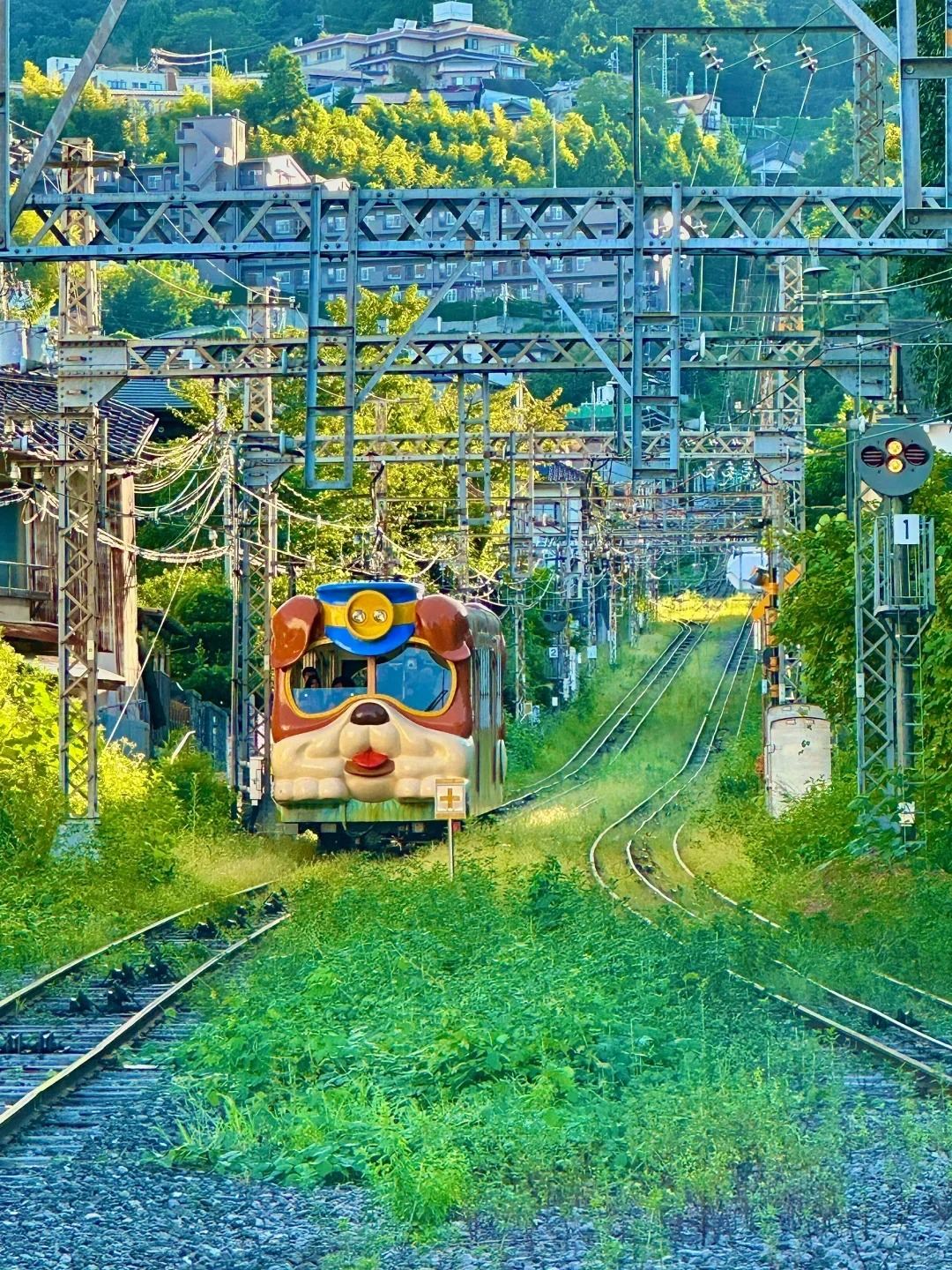 Eendaagse tour vanuit Osaka naar Hirakata Park + Nara met diepgaande en leuke ervaringen zoals het voeren van herten in Nara Park en Mount Wakakusa