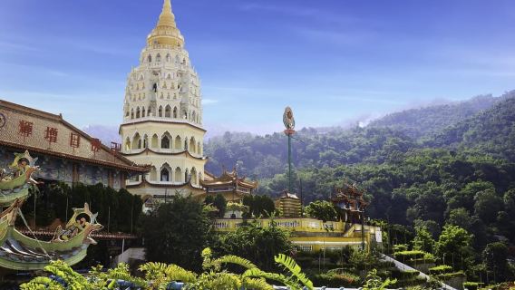 Private Penang City Tour with Kek Lok Si Temple