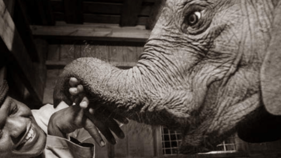 Nairobi City Tour and Night Life