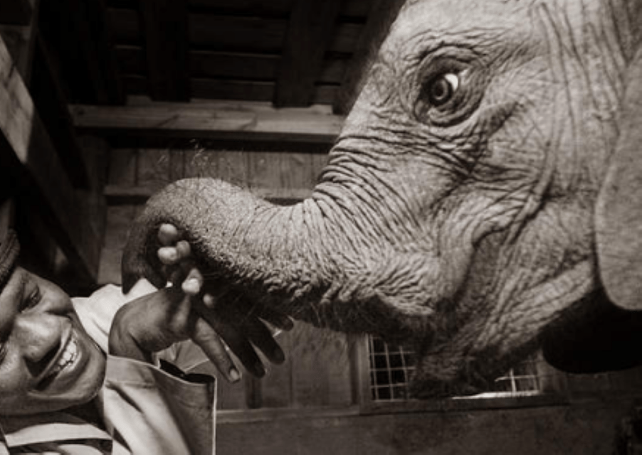 Nairobi-Stadtrundfahrt und Nachtleben