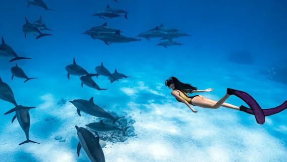 エジプト紅海クルーズワンデーツアー【オプションでダイビング/シュノーケリング/オレンジベイ/グラスボート/ドルフィンベイ】