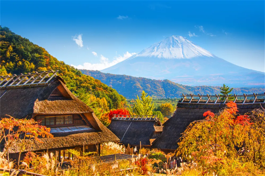 東京富士山西湖合掌村落、河口湖、忍野八海一日遊，贈午餐