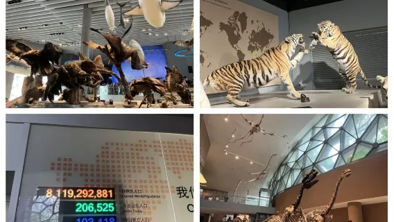 Tour di studio per famiglie nel centro di Shanghai in Cina con trasferimento porta a porta e itinerario personalizzabile