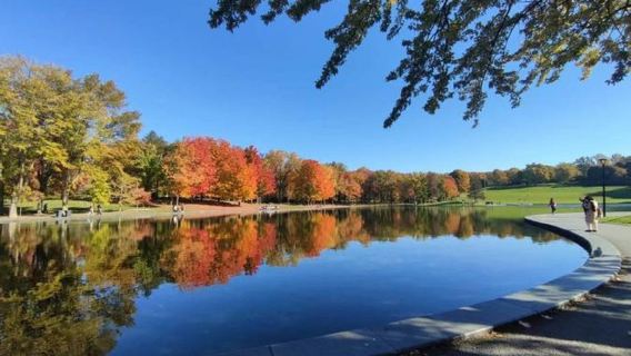 蒙特婁市區周邊包車遊/一日遊/多日遊【景點自選-詳詢客戶服務】
