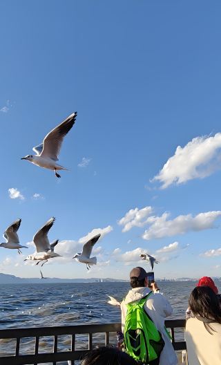 Kunming City Tour: Dianchi Lake, Western Hills, Ethnic Village Chinese Group Day Tour - Classic Route Must-Visit
