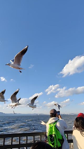 Kunming City Tour: Dianchi Lake, Western Hills, Ethnic Village Chinese Group Day Tour - Classic Route Must-Visit