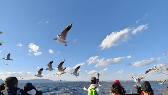 Tur Kota Kunming: Danau Dianchi, Gunung Xishan, dan Desa Etnis - Tur Grup Berbahasa Mandarin Satu Hari - Itinerary Klasik