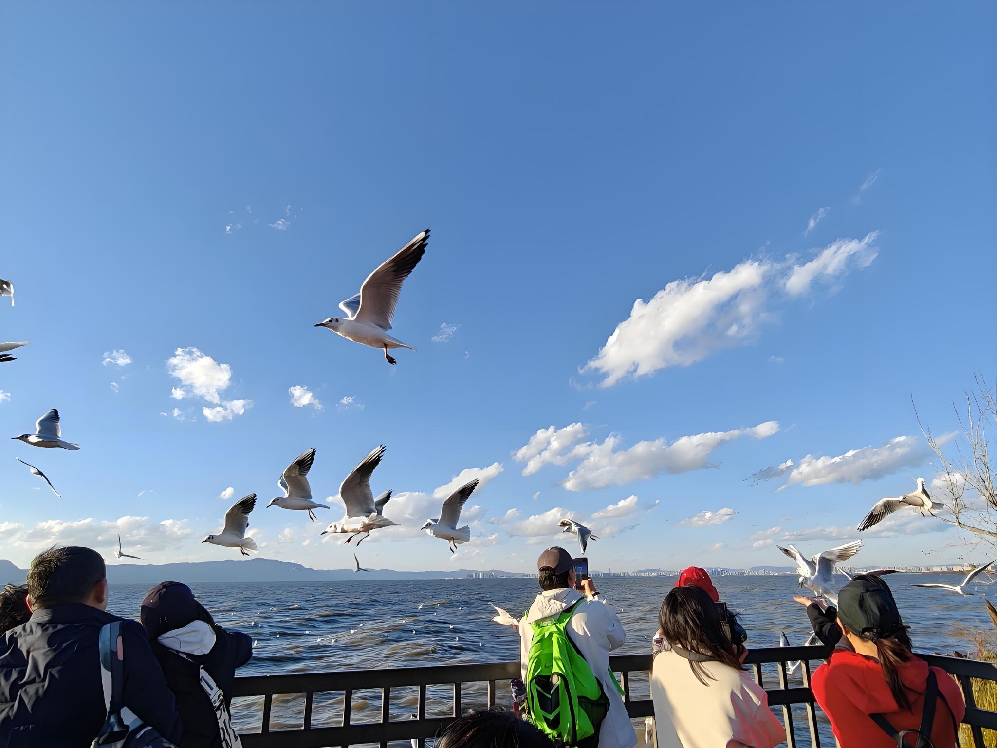 Kunming City Tour: Dianchi Lake, Xishan Mountain, and Ethnic Villages - One-Day Chinese-Language Group Tour - Classic Itinerary