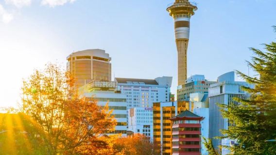 伊甸山+天空塔+皇后大街+一樹山+普普基湖一日遊【行程可調】