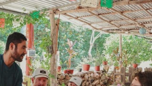 메리다 출발: 우슈말과 놀라운 세노테 가이드 투어 (점심 식사 포함)