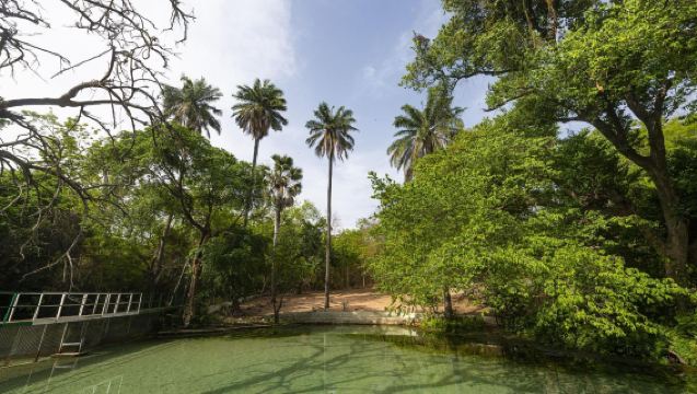 非洲奈及利亞卡諾｜旅遊陪同翻譯｜展會｜商務考察洽談｜自由行地接｜接機 （可私人定制）