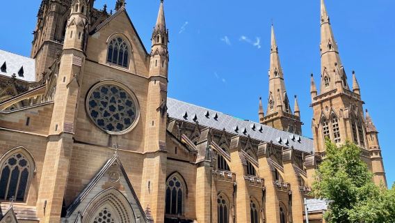 Australia Sydney lawatan sewa peribadi | Opera House + Katedral Our Lady + Ku-ring-gai Chase ※