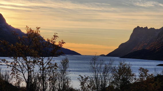 挪威特羅姆瑟+芬斯內斯+塞尼亞島索瑪若伊【包車-跟團詢客服】