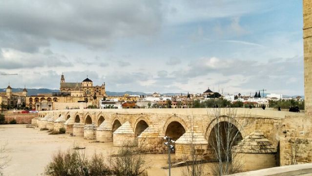 Private tour to Córdoba from Seville (several options)