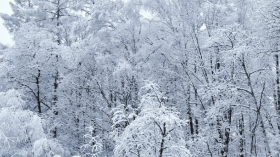 [1 person can enjoy] Rime Wonderland Drift · Exclusive Photography Day Tour