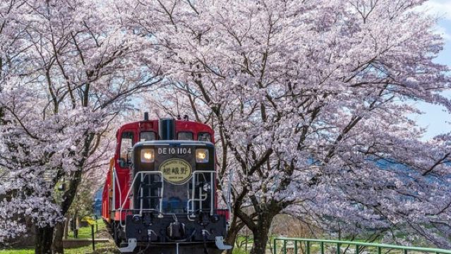 Lawatan separuh hari ke Kyoto dengan pelayaran Sungai Hozu dan kereta api romantik Sagano ke Arashiyama