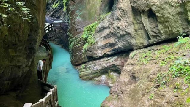 【純玩2-8人團】武隆天生三橋+龍水峽地縫+烏江觀景台一日遊