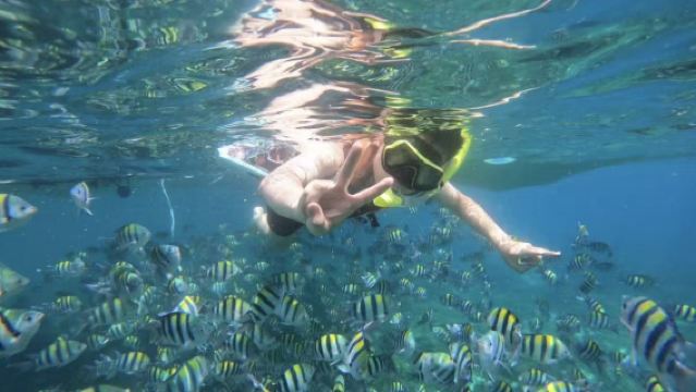 陵水分界洲島+分界洲島潛水體驗潛水浮潛2小時【堡礁/魔鬼魚浮潛/送拍攝 免費沖淡 玻璃船魔毯 含上島船票】