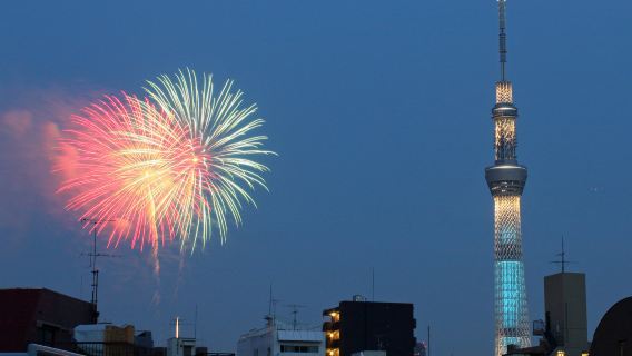 優惠包車·日本東京市區/周邊定制包車·中文司機可定制調整行程