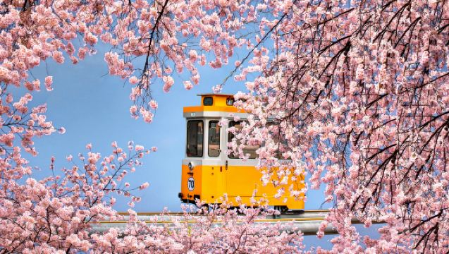 Busan Gökyüzü Kapsülü + Oryukdo Gökyüzü Yürüyüş Yolu + Gamcheon Kültür Köyü + Cheongsapo Kültür Köyü Günlük Turu