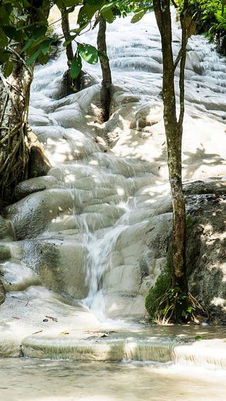 1-day tour to Chiang Mai Namtok Bua Tong-Nam Phu Chet Si National Park + elephant cafe + elephant poop paper park nature adventure