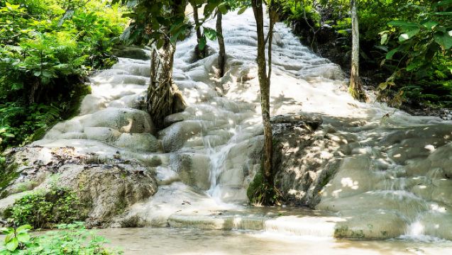 ทัวร์ครึ่งวันเชียงใหม่ อุทยานแห่งชาติน้ำตกบัวตอง-น้ำพุเจ็ดสี + คาเฟ่ช้าง สัมผัสธรรมชาติสุดสนุก บริการรับส่งฟรีจากโรงแรมในเมือง