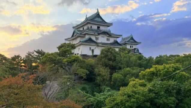 和歌山城+紅葉溪庭園+紀三井寺+白濱+千疊敷【包車一日遊】