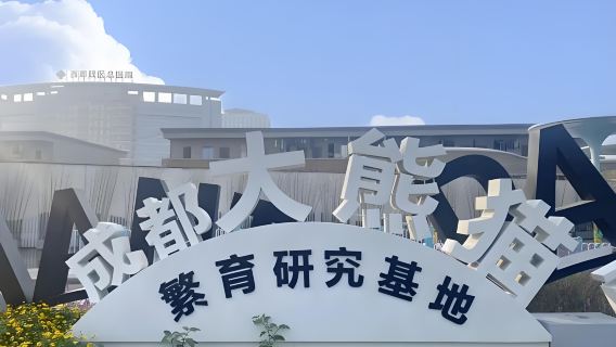 ทัวร์ 1 วันเหมารถฐานวิจัยการเพาะเลี้ยงหมีแพนด้ายักษ์เฉิงตู + ซอยกว้างและแคบ + ถนนโบราณจิ๋นหลี่